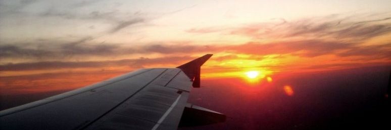 Adam 🐝🏳️‍🌈 banner