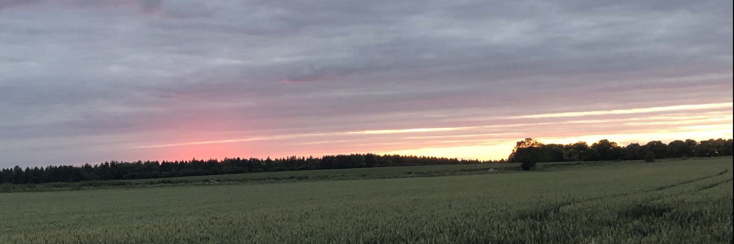 chellewalks's profile banner image