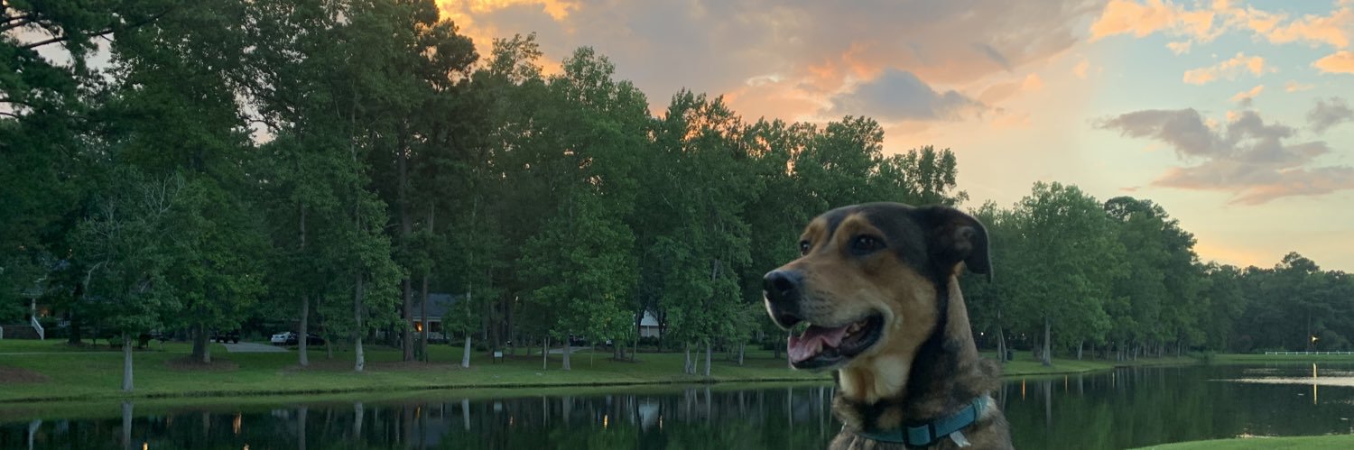 SaraRegian's profile banner image