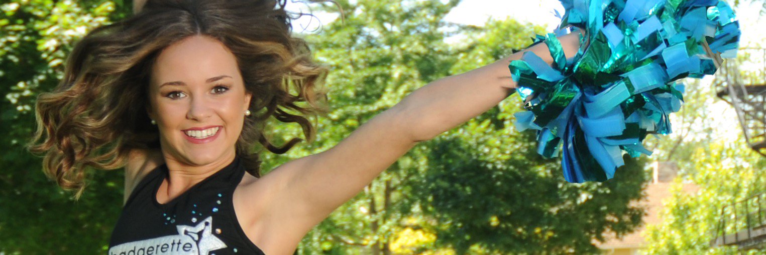 badgerettepom's profile banner image