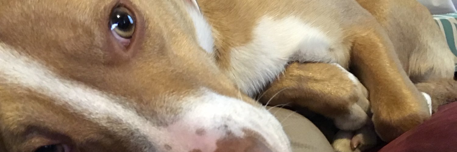 MattZph's profile banner image