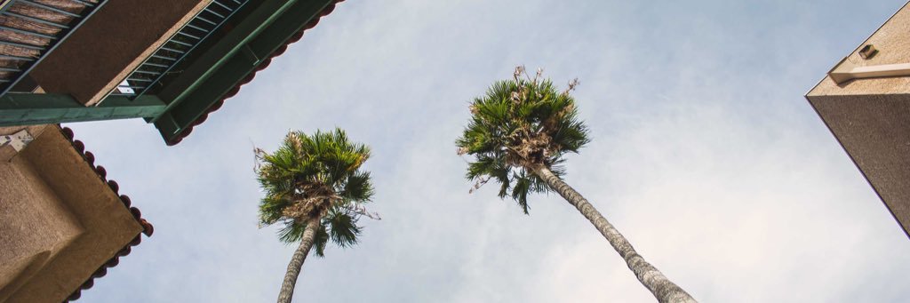 cedlocks's profile banner image