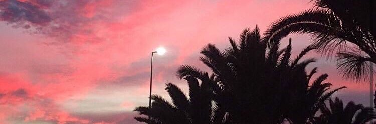 damla54201's profile banner image