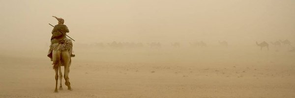 BarryFreedNYC Profile Banner