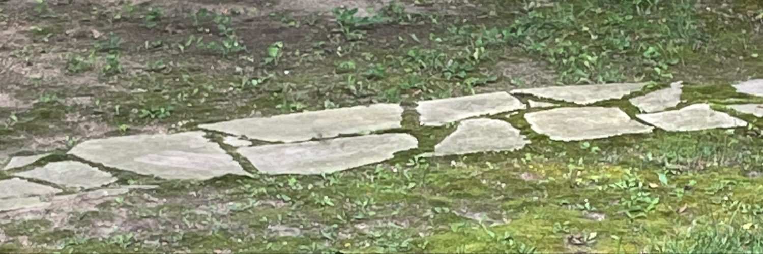 bushpetter's profile banner image