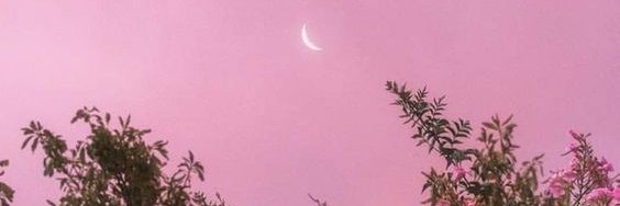 Hummingbird___'s profile banner image