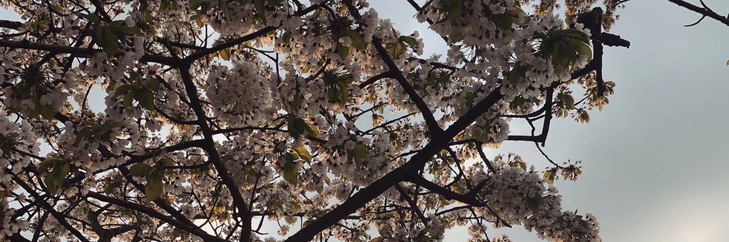 _HelloAmyy's profile banner image