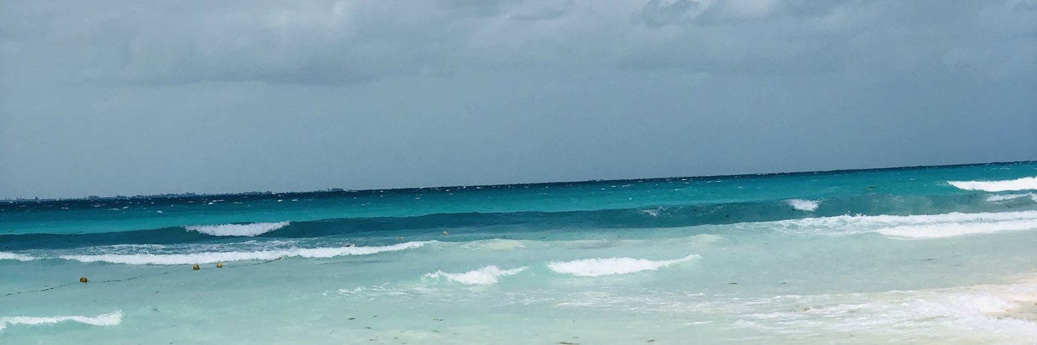 OhNancy_'s profile banner image