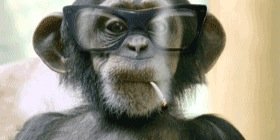 MonoRevolucion's profile banner image