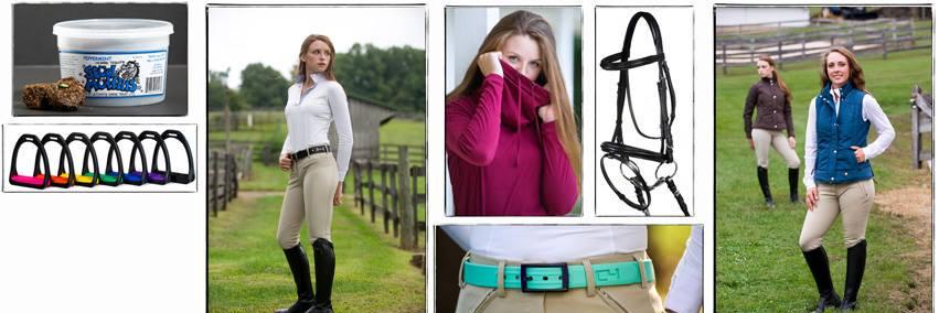 Bit of Britain banner