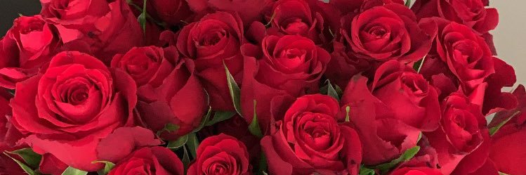 Hortense_14's profile banner image
