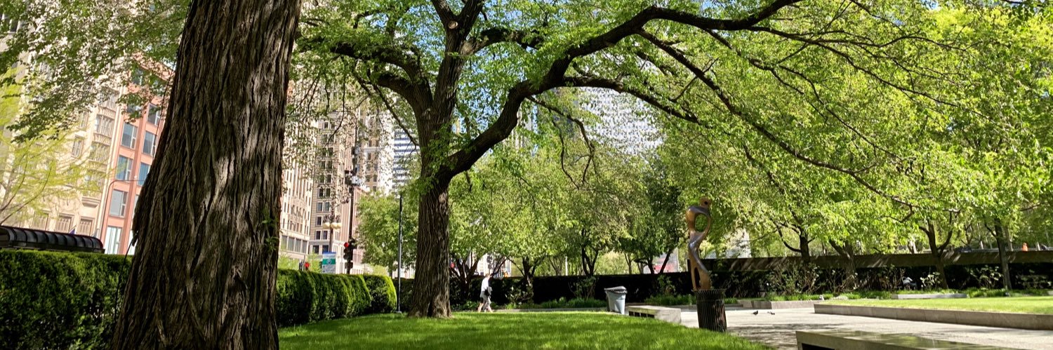 ChicagoTreeMD's profile banner image