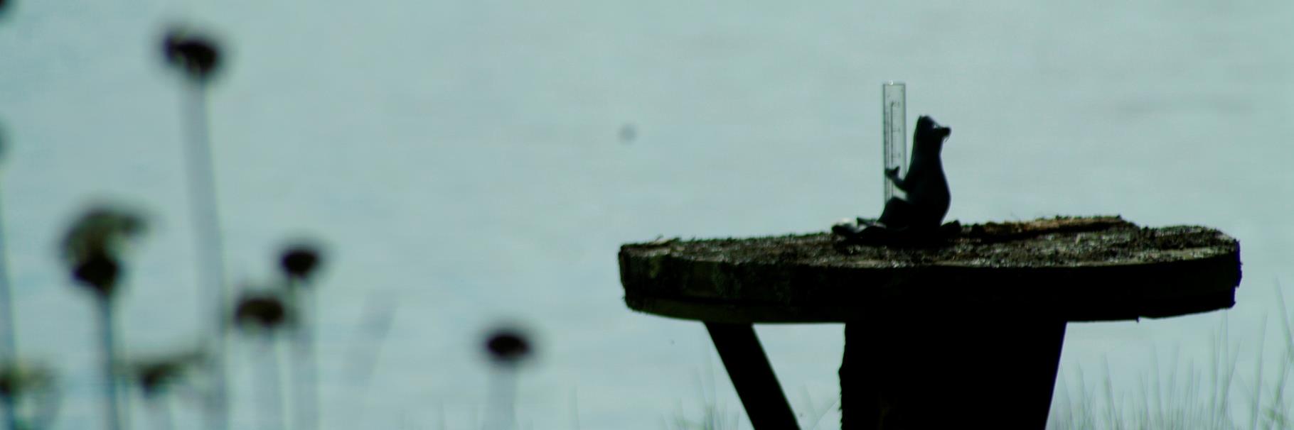 kjoyhv64's profile banner image