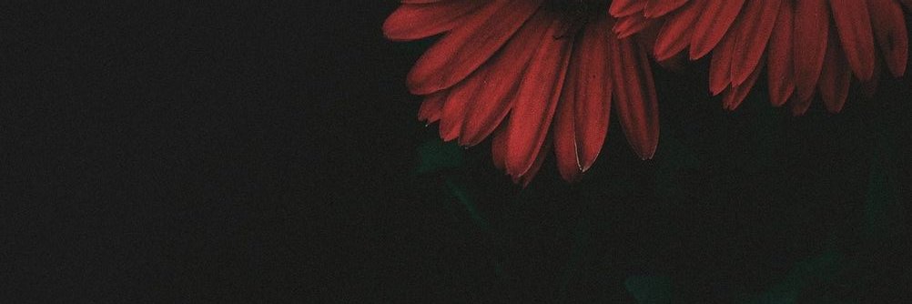 hvoki's profile banner image
