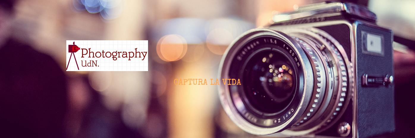 P_UDN's profile banner image