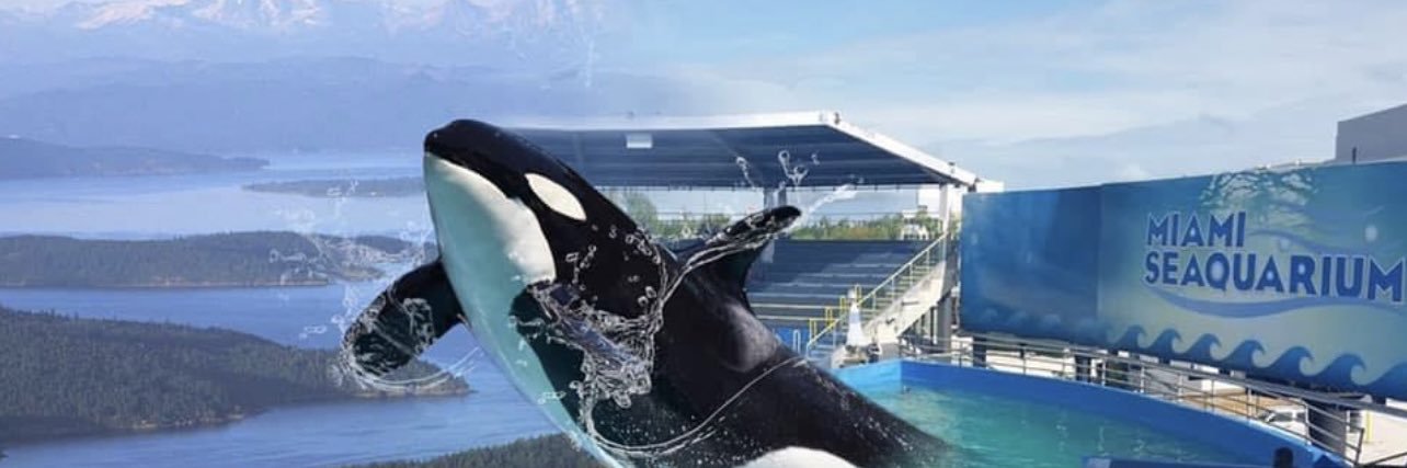 Janet ⓥ 🔥💧🐋🐬🐳🐨🦘🌱 banner