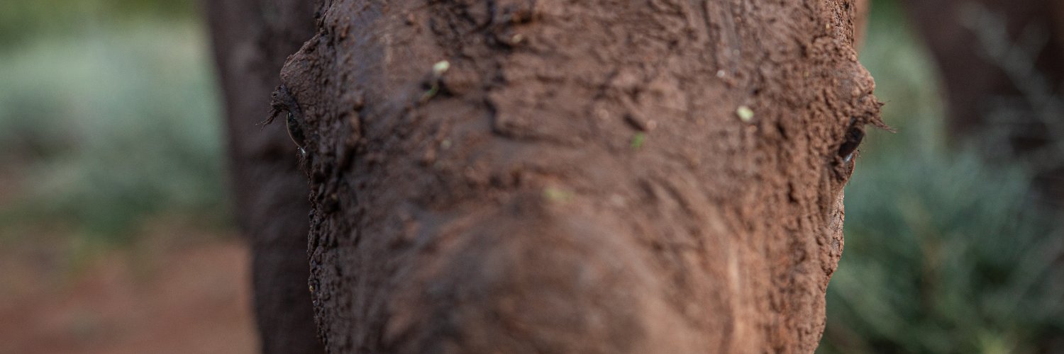 beddynd's profile banner image