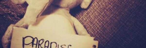 AyazAkd's profile banner image