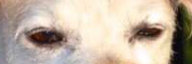 Cjh22Colin's profile banner image