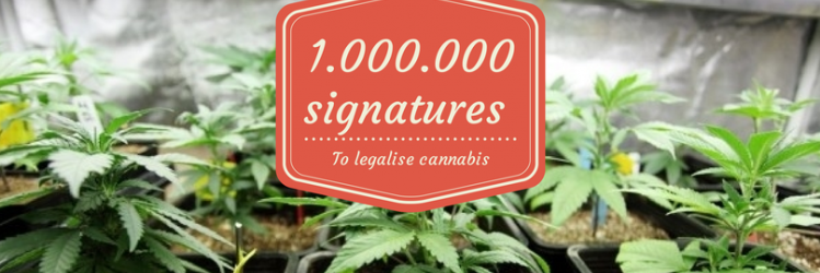 WeedLikeTalkUK's profile banner image