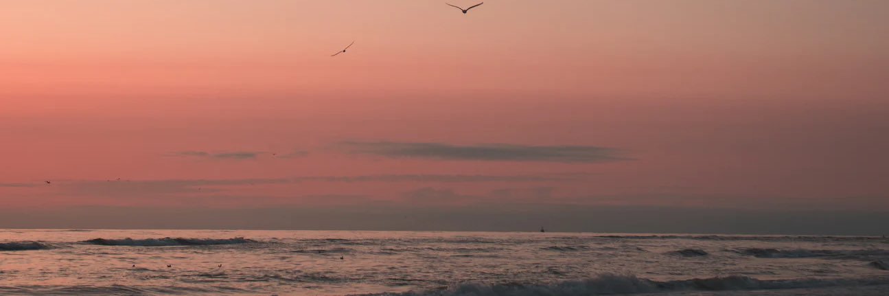 MillaDrs's profile banner image