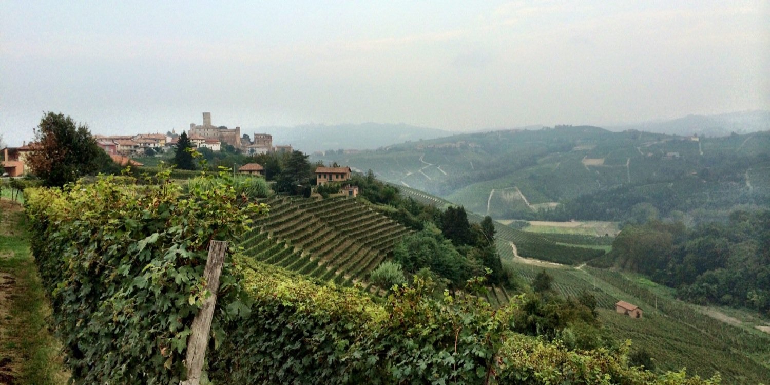 MichaelaWine's profile banner image