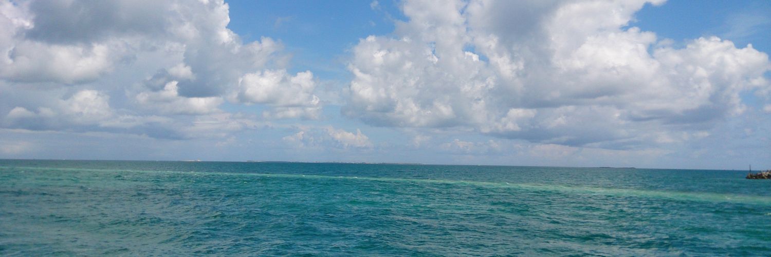 a91081469's profile banner image