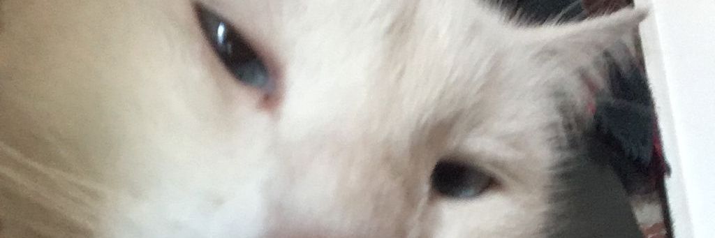 ManuuEitoO's profile banner image