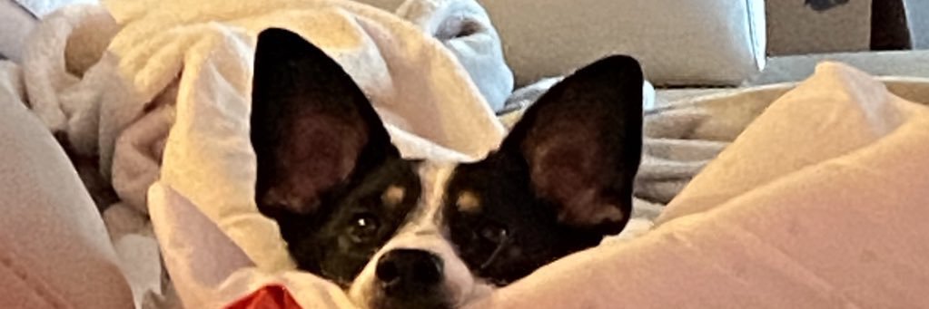 Laaz ♡ banner