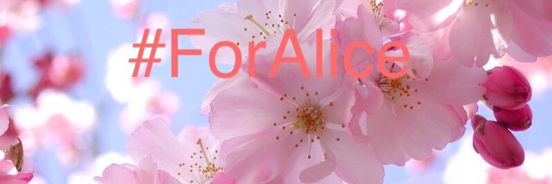BethyyRose14's profile banner image