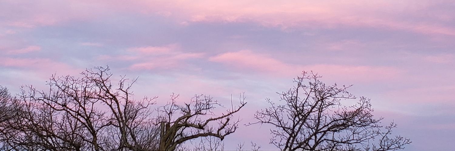 AmazonianLion's profile banner image