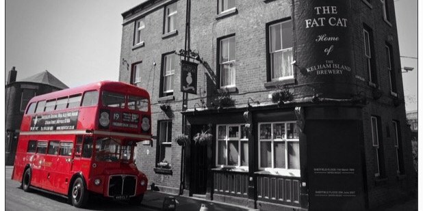 fatcatpubS3's profile banner image