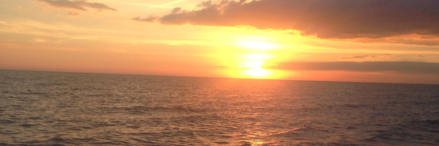lukebsalts's profile banner image