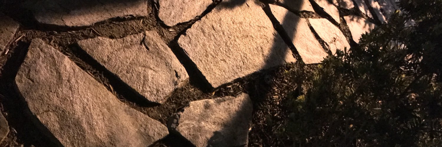 Marsutol's profile banner image