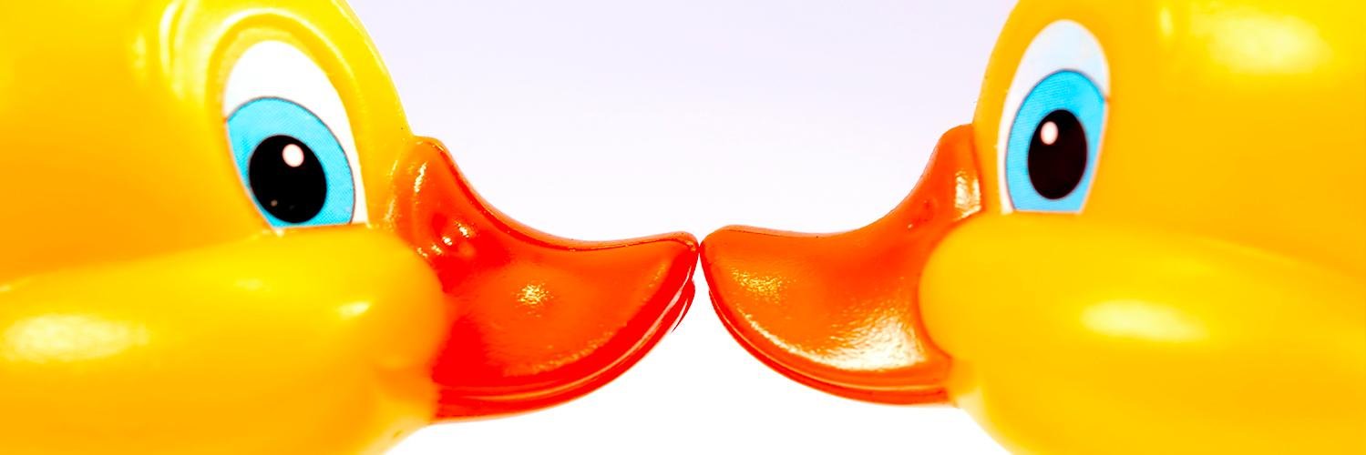 Fumb_Ducks's profile banner image