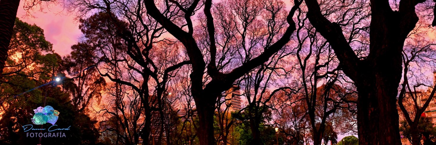 DannCard21's profile banner image