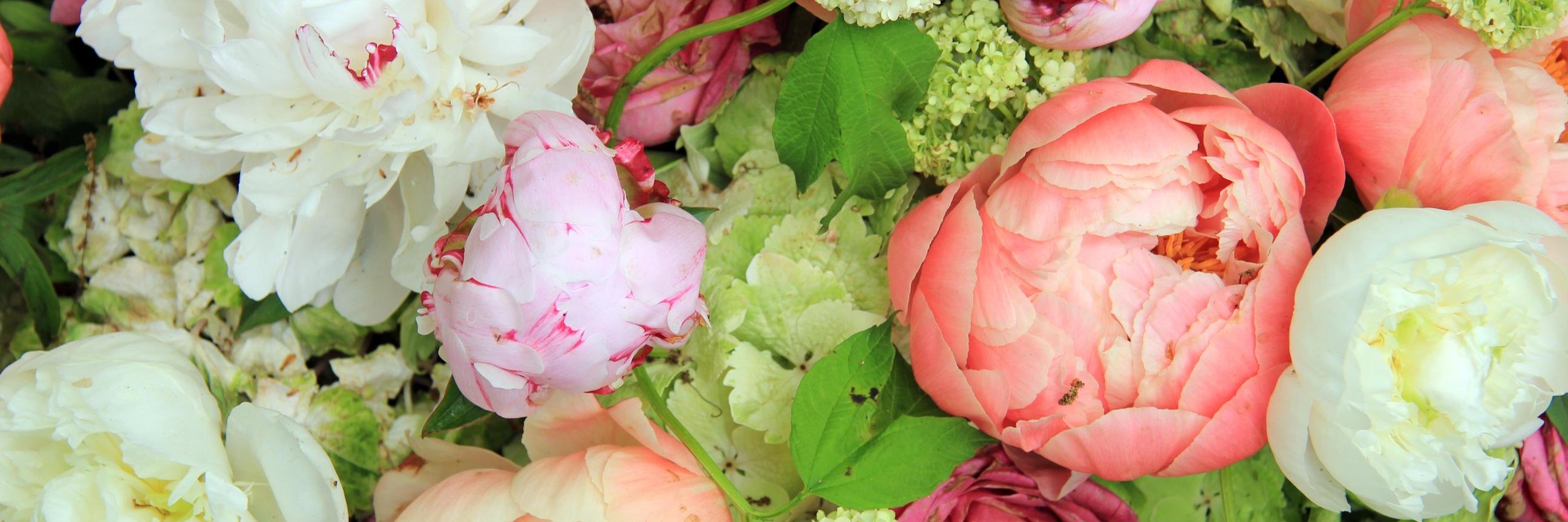 EnglishMineralMakeup banner