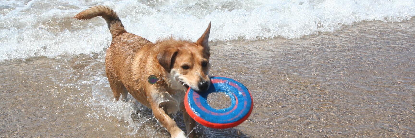 Richard Parnham 🏳️‍🌈 banner