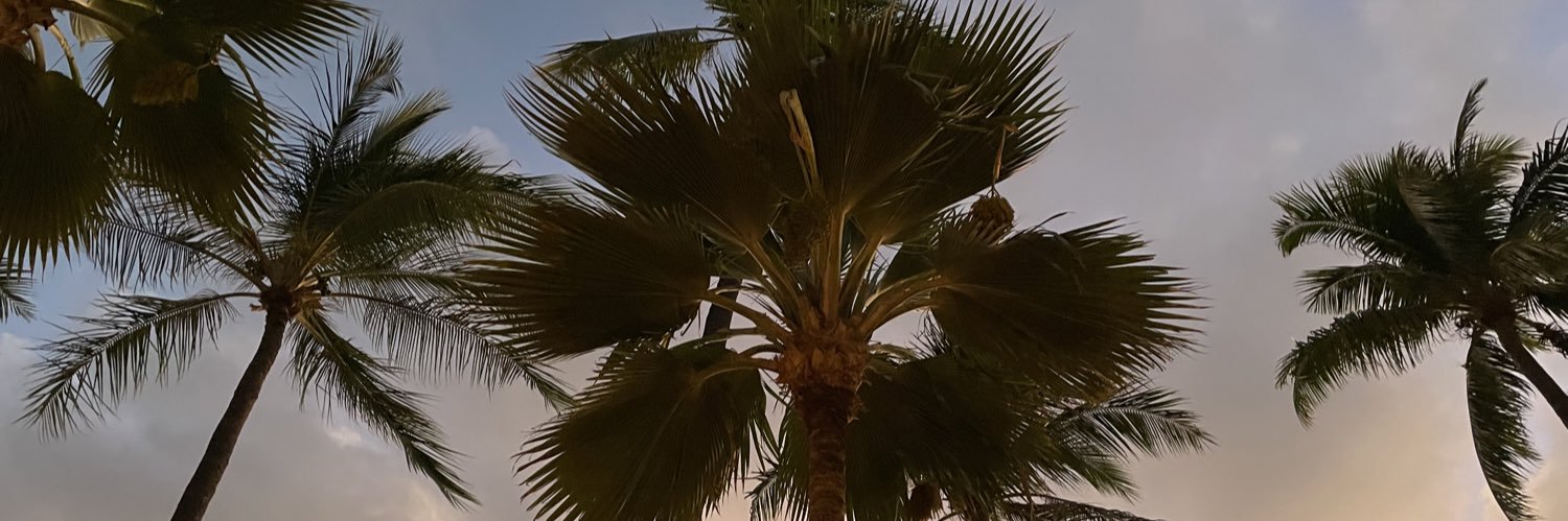 Aer0Dynam1c's profile banner image