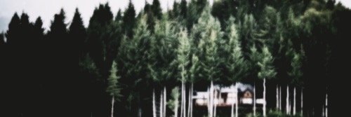 _MarinaVincent's profile banner image