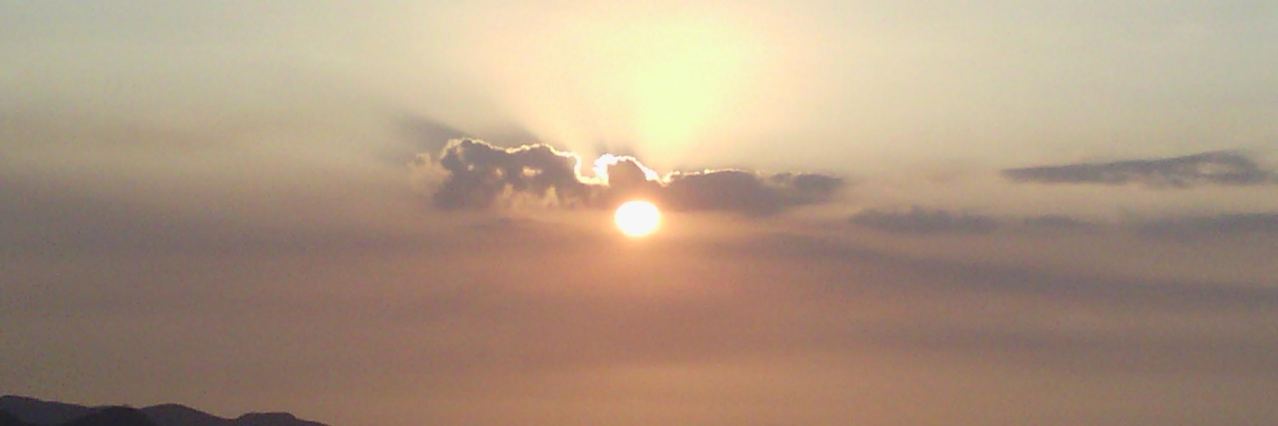 Julia Julia Marcano banner