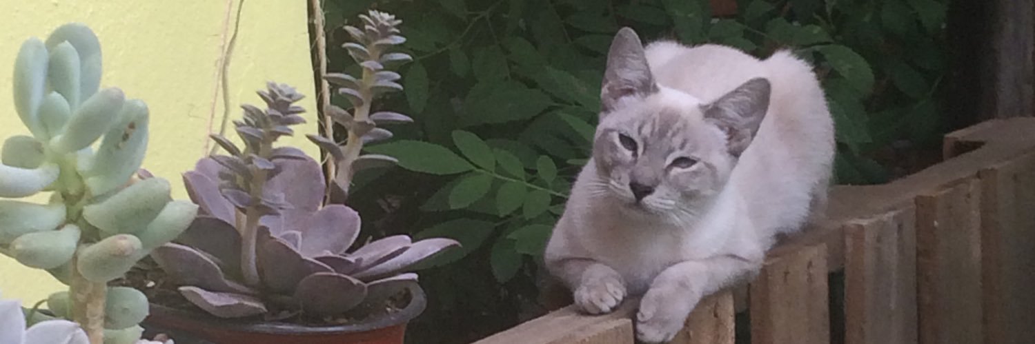 aadriiee's profile banner image