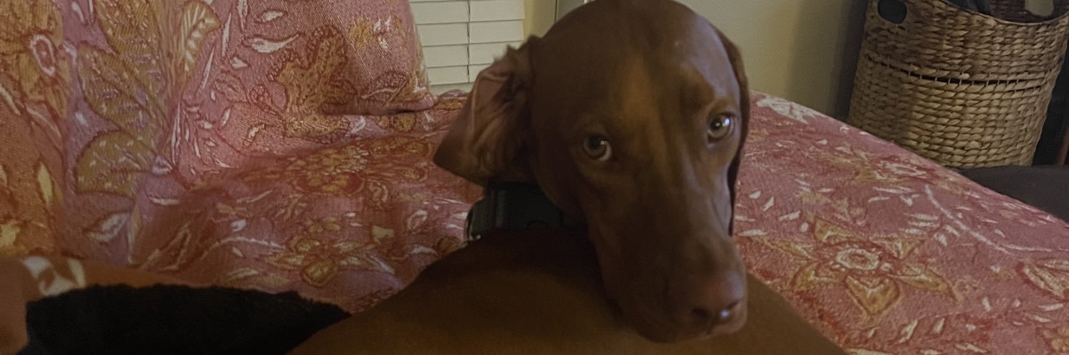 MillerMadelyn_'s profile banner image