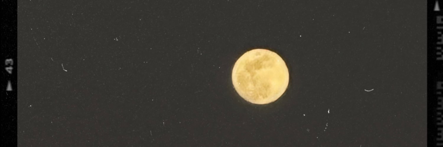 virtualfrank_'s profile banner image