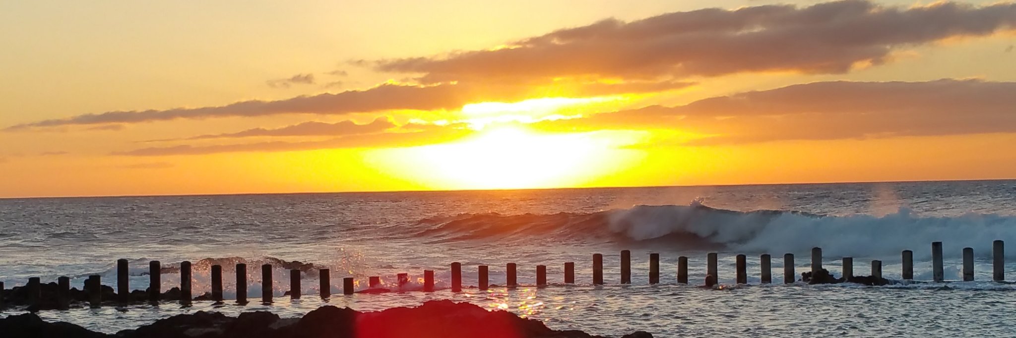 Óscar del Saz banner