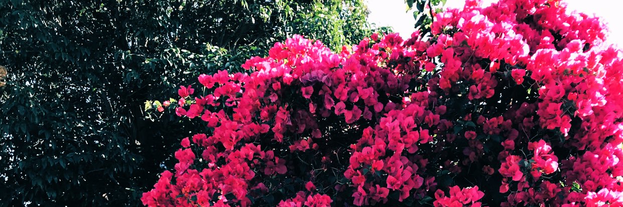 Meezmoe's profile banner image