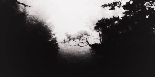 Maxy banner