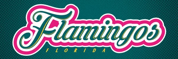 ICEHLFlamingos's profile banner image