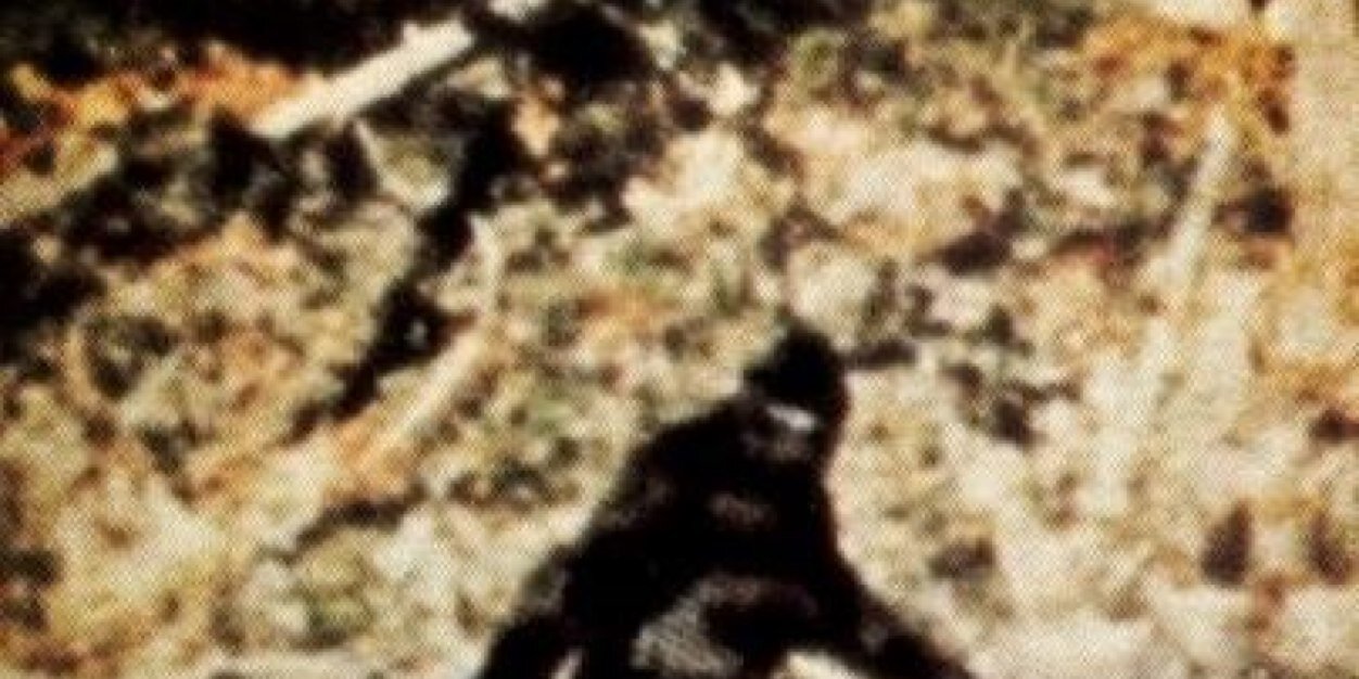 largefootsmith's profile banner image