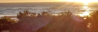 MyrFernanda's profile banner image